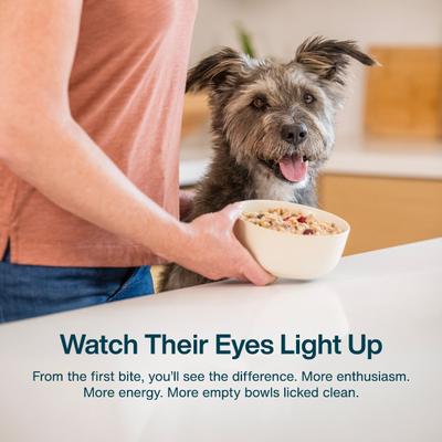 Show full view: JustFoodForDogs Veterinary Diet Renal Support Low Protein Frozen Human-Grade Fresh Dog Food, 18-oz pouch, case of 21 slide 8 of 12