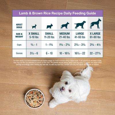 Show full view: JustFoodForDogs Lamb & Brown Rice Recipe Frozen Human-Grade Fresh Dog Food, 18-oz pouch, case of 7 slide 10 of 12