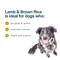 Show in main carousel: JustFoodForDogs Lamb & Brown Rice Recipe Frozen Human-Grade Fresh Dog Food, 18-oz pouch, case of 7 slide 5 of 12
