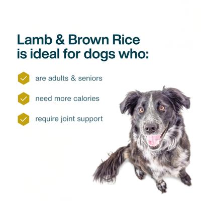 Show full view: JustFoodForDogs Lamb & Brown Rice Recipe Frozen Human-Grade Fresh Dog Food, 18-oz pouch, case of 7 slide 5 of 12