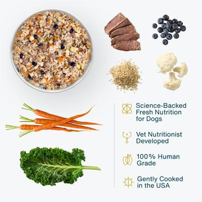 Show full view: JustFoodForDogs Lamb & Brown Rice Recipe Frozen Human-Grade Fresh Dog Food, 18-oz pouch, case of 7 slide 4 of 12