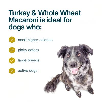 Show full view: JustFoodForDogs Turkey & Whole Wheat Macaroni Recipe Frozen Human-Grade Fresh Dog Food, 18-oz pouch, case of 14 slide 5 of 12