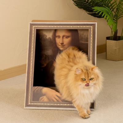 Show full view: Happy & Polly 3D 19.4-in Interactive Cat Scratcher Toy, Set of 2 slide 2 of 10