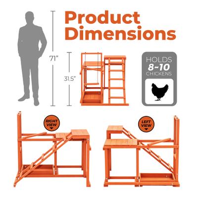 Show full view: Win World Chicken Gym, Medium slide 4 of 9