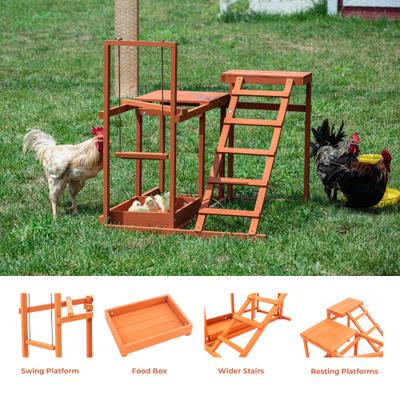 Show full view: Win World Chicken Gym, Medium slide 5 of 9