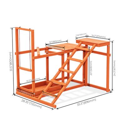 Show full view: Win World Chicken Gym, Medium slide 3 of 9