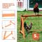 Show in main carousel: Win World Chicken Swing Set, Medium slide 7 of 9