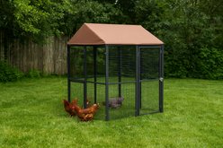 Win World Universal Chicken Cage, Medium