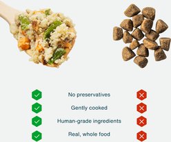 JustFoodForDogs Variety Pack Frozen Human-Grade Fresh Dog Food, 5.5-oz pouch, case of 36 slide 2 of 8