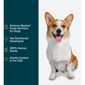 JustFoodForDogs Pantry Fresh Chicken & White Rice Fresh Dog Food, 12.5-oz pouch, case of 12