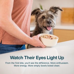 JustFoodForDogs Sampler Variety Box Frozen Human-Grade Fresh Dog Food, 18-oz pouch, case of 7