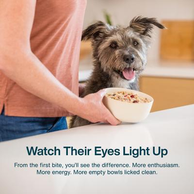 Show full view: JustFoodForDogs Sampler Variety Box Frozen Human-Grade Fresh Dog Food, 18-oz pouch, case of 7 slide 6 of 11