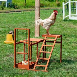 Win World Chicken Gym, Medium