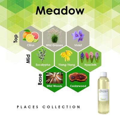 Show full view: Aroma Retail Floral & Garden Meadow Fragrance Oil Refill, 4-oz bottle slide 5 of 6