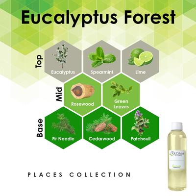 Show full view: Aroma Retail Fresh & Clean Eucalyptus Forest Fragrance Oil Refill, 4-oz bottle slide 4 of 5