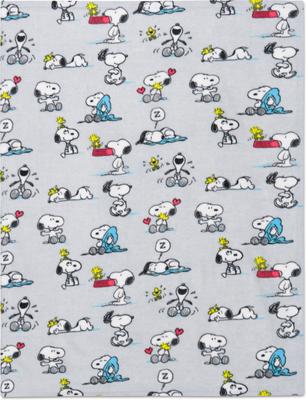 Show full view: Peanuts Snoopy Snoopy Days Throw & Squeaky Pet Pillow Set Dog Plush Toy, Grey, 40 x 50-in slide 6 of 11