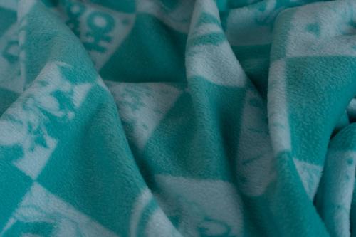 Show full view: Looney Tunes Bunny Check Throw & Squeaky Pet Pillow Set Dog Plush Toy, Green, 40 x 50-in slide 9 of 10