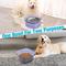 Show in main carousel: UPSKY Spill Proof, No Splash Non-Skid Plastic Slow Feeder Dog & Cat Water Bowl, 2-L, Purple slide 8 of 9