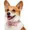 Show in main carousel: Frisco Valentine's Hearts Dog & Cat Bow Tie, Floral Hearts, Medium/Large slide 1 of 9