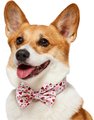 Frisco Valentine's Hearts Dog & Cat Bow Tie, Floral Hearts, Medium/Large