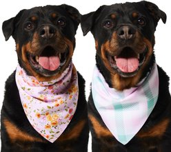 Frisco Spring Floral & Gingham Reversible Dog & Cat Bandana, X-Large/XX-Large