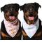 Show in main carousel: Frisco Spring Floral & Gingham Reversible Dog & Cat Bandana, X-Large/XX-Large slide 1 of 9