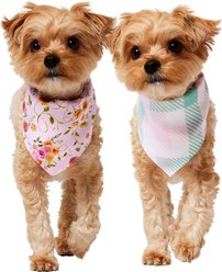 Frisco Spring Floral & Gingham Reversible Dog & Cat Bandana, X-Small/Small