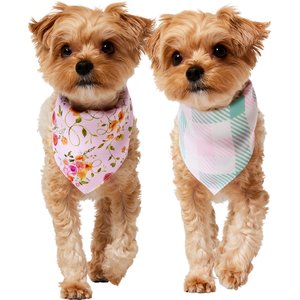 Frisco Spring Floral & Gingham Reversible Dog & Cat Bandana, X-Small/Small