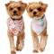 Show in main carousel: Frisco Spring Floral & Gingham Reversible Dog & Cat Bandana, X-Small/Small slide 1 of 10