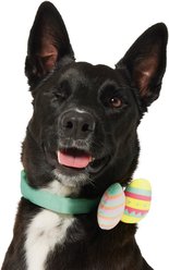 Frisco Removable Easter Egg Dog & Cat Adjustable Collar Attachment, One Size