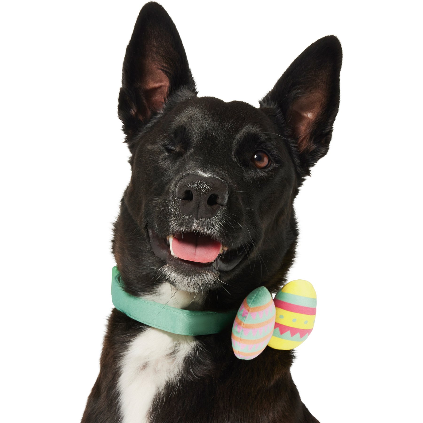 Frisco Removable Easter Egg Dog & Cat Adjustable Collar Attachment, One Size