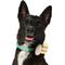 Show in main carousel: Frisco Removable Easter Egg Dog & Cat Adjustable Collar Attachment, One Size slide 1 of 8