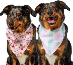 Frisco Spring Floral & Gingham Reversible Dog & Cat Bandana, Medium/Large