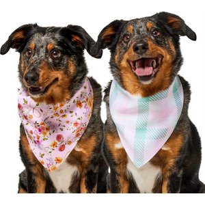 Frisco Spring Floral & Gingham Reversible Dog & Cat Bandana, Medium/Large