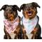 Show in main carousel: Frisco Spring Floral & Gingham Reversible Dog & Cat Bandana, Medium/Large slide 1 of 9