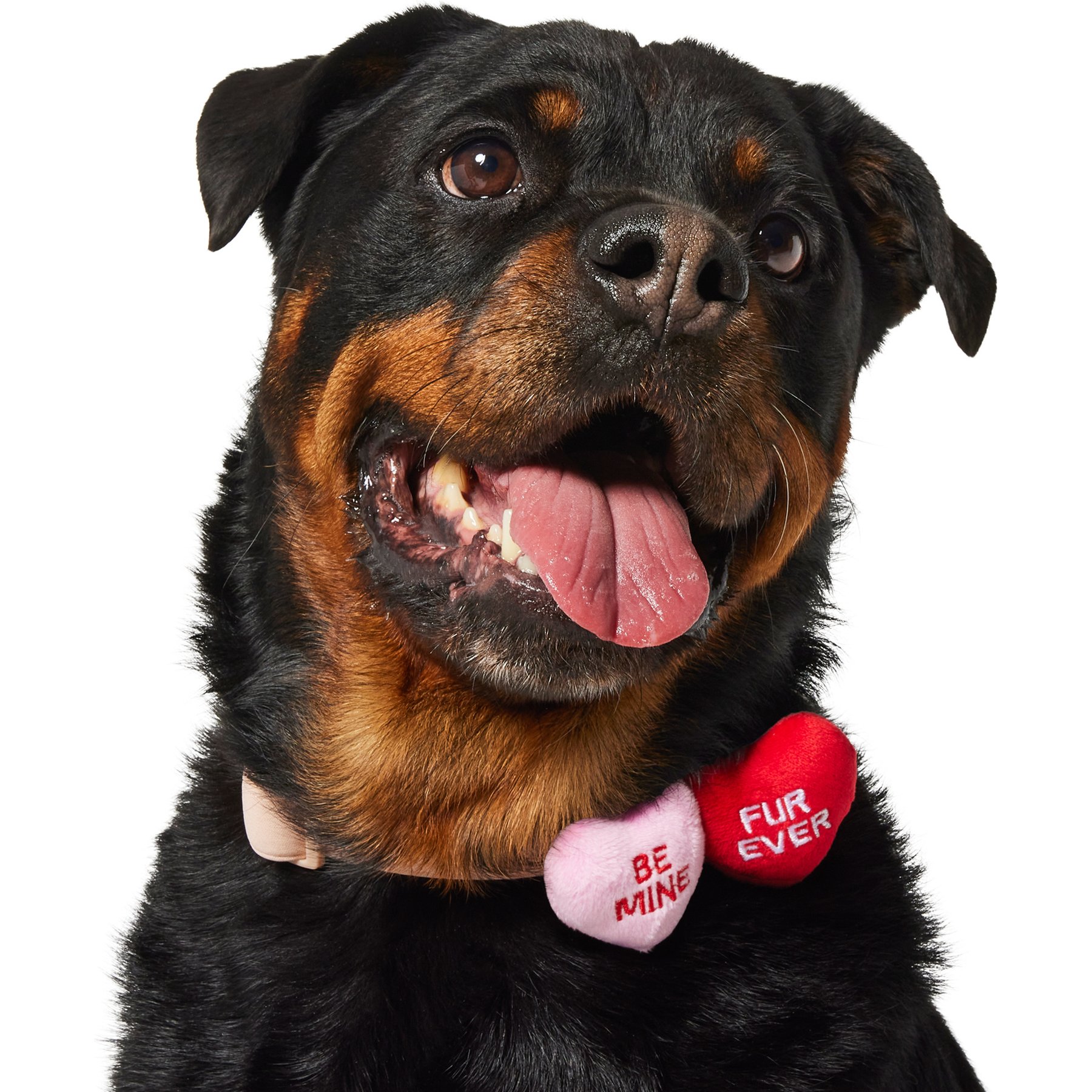 Frisco Candy Conversation Heart Collar Attachment, One Size