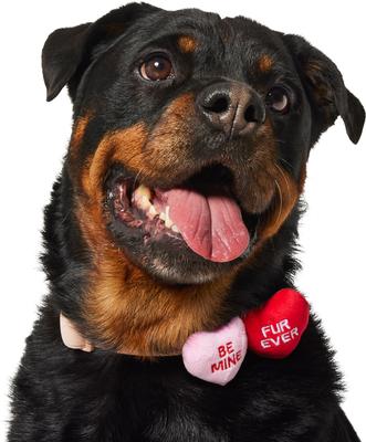 Show full view: Frisco Valentine's Candy Conversation Heart Collar Attachment, One Size slide 2 of 9