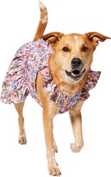 Frisco Ruffle Sleeve Dog & Cat Dress, Spring Floral, X-Large slide 1 of 7