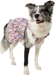 Frisco Ruffle Sleeve Dog & Cat Dress, Spring Floral, Large