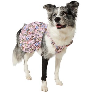 Frisco Ruffle Sleeve Dog & Cat Dress, Spring Floral, Large
