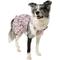 Show in main carousel: Frisco Ruffle Sleeve Dog & Cat Dress, Spring Floral, Large slide 1 of 9