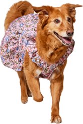 Frisco Ruffle Dog & Cat Dress, Spring Floral, XX-Large