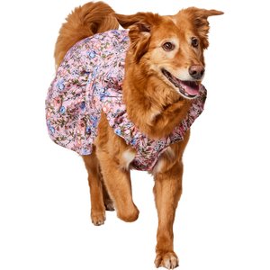 Frisco Ruffle Sleeve Dog & Cat Dress, Spring Floral, XX-Large