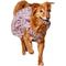 Show in main carousel: Frisco Ruffle Dog & Cat Dress, Spring Floral, XX-Large slide 1 of 9