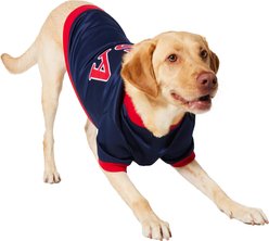 Frisco Retro Americana Sports Dog & Cat Bomber Jacket, X-Large