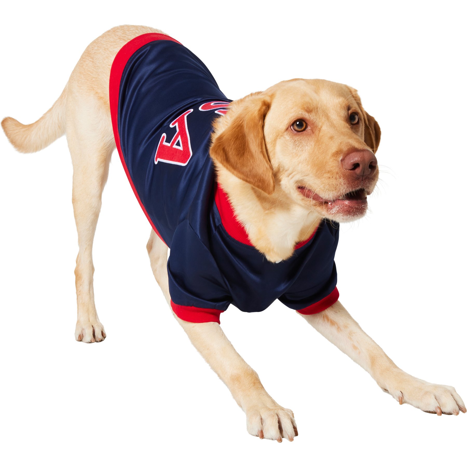 Frisco Retro Americana Sports Dog & Cat Bomber Jacket, X-Large