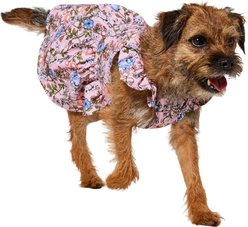 Frisco Ruffle Sleeve Dog & Cat Dress, Spring Floral, Medium
