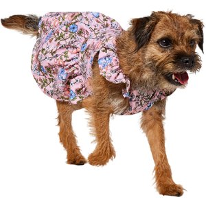 Frisco Ruffle Dog & Cat Dress, Spring Floral, Medium