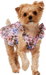 Frisco Ruffle Dog & Cat Dress, Spring Floral, X-Small