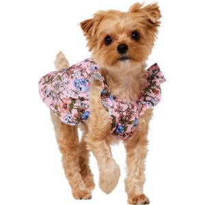 Frisco Ruffle Dog & Cat Dress, Spring Floral, X-Small